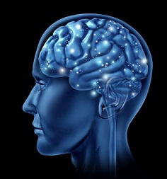 How Steroids Affect the Mind